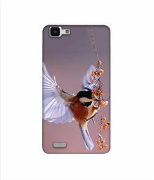 Amazon Brand - Solimo Designer Bird 3D Printed Hard Back Case Mobile Cover for Vivo Y27L