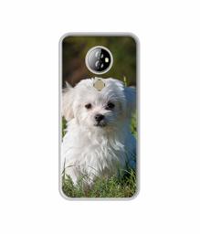 Amazon Brand - Solimo Designer White Dog UV Printed Soft Back Case Mobile Cover for Comio X1 Note