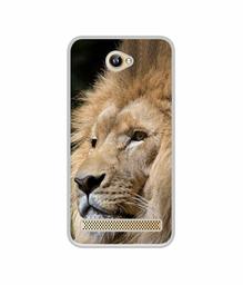 Amazon Brand - Solimo Designer Lion UV Printed Soft Back Case Mobile Cover for 10.or D2