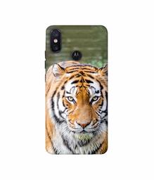 Amazon Brand - Solimo Designer Tiger in Water 3D Printed Hard Back Case Mobile Cover for Motorola One Power