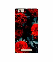 Amazon Brand - Solimo Designer Rose Photography UV Printed Soft Back Case Mobile Cover for Lava A97