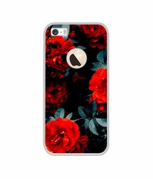 Amazon Brand - Solimo Designer Rose Photography UV Printed Soft Back Case Mobile Cover for Apple iPhone 5 / 5S