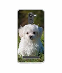 Amazon Brand - Solimo Designer White Dog UV Printed Soft Back Case Mobile Cover for 10.or D