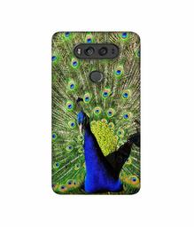 Amazon Brand - Solimo Designer Peacock 3D Printed Hard Back Case Mobile Cover for LG V20