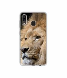 Amazon Brand - Solimo Designer Lion UV Printed Soft Back Case Mobile Cover for Samsung Galaxy A20