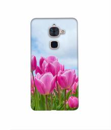 Amazon Brand - Solimo Designer Pink Lily 3D Printed Hard Back Case Mobile Cover for LeTV Le 2