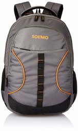 Amazon Brand - Solimo Urban Laptop Backpack for 15.6-inch Laptops (29 litres,Grey)