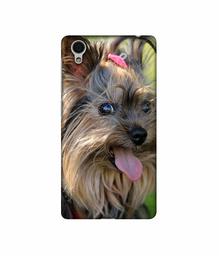 Amazon Brand - Solimo Designer Hairy Puppy 3D Printed Hard Back Case Mobile Cover for Vivo Y51L