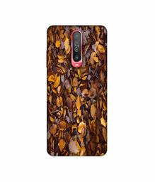 Amazon Brand - Solimo Designer Dry Leafs 3D Printed Hard Back Case Mobile Cover for Poco X2 / Mi Redmi K30