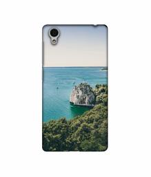 Amazon Brand - Solimo Designer Sea View 3D Printed Hard Back Case Mobile Cover for Vivo Y51L