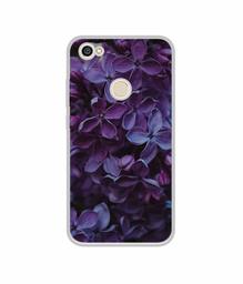 Amazon Brand - Solimo Designer Purple Flowers UV Printed Soft Back Case Mobile Cover for Mi Redmi Y1 (Note 5A)