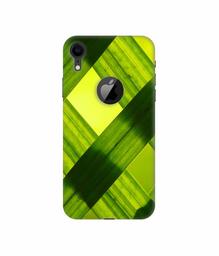 Amazon Brand - Solimo Designer Leafs Texture 3D Printed Hard Back Case Mobile Cover for Apple iPhone XR (Logo Cut)