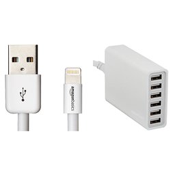 AmazonBasics Apple Certified Lightning to USB Cable - 3 Feet (0.9 Meters) w/ AmazonBasics 60W 6-Port USB Charger - White, 2-Pack