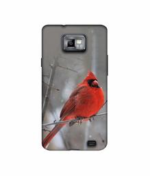 Amazon Brand - Solimo Designer Red Engry Bird 3D Printed Hard Back Case Mobile Cover for Samsung Galaxy S2