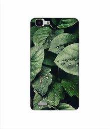 Amazon Brand - Solimo Designer Leafs 3D Printed Hard Back Case Mobile Cover for Vivo Y27L