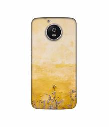 Amazon Brand - Solimo Designer Dry Flower On Wall 3D Printed Hard Back Case Mobile Cover for Motorola Moto G5