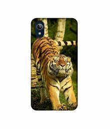 Amazon Brand - Solimo Designer Tiger 3D Printed Hard Back Case Mobile Cover for Vivo Y91i