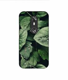 Amazon Brand - Solimo Designer Leafs 3D Printed Hard Back Case Mobile Cover for Gionee A1