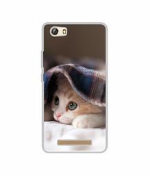 Amazon Brand - Solimo Designer Sleepy Kitten UV Printed Soft Back Case Mobile Cover for Gionee Marathon M5 lite