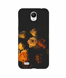 Amazon Brand - Solimo Designer Roses 3D Printed Hard Back Case Mobile Cover for Vivo Y21L