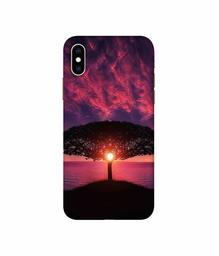 Amazon Brand - Solimo Designer Nature Digital Painting 3D Printed Hard Back Case Mobile Cover for Apple iPhone Xs Max