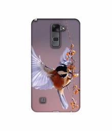 Amazon Brand - Solimo Designer Bird 3D Printed Hard Back Case Mobile Cover for LG Stylus 2