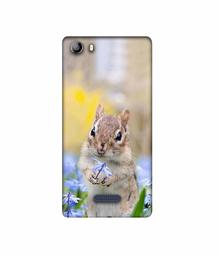 Amazon Brand - Solimo Designer Squirrel 3D Printed Hard Back Case Mobile Cover for Micromax Canvas 5 E481