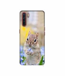 Amazon Brand - Solimo Designer Squirrel 3D Printed Hard Back Case Mobile Cover for Oppo A91