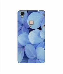 Amazon Brand - Solimo Designer Light Blue Flower Photography 3D Printed Hard Back Case Mobile Cover for Vivo V3 Max