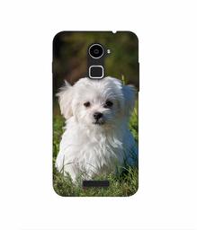 Amazon Brand - Solimo Designer White Dog 3D Printed Hard Back Case Mobile Cover for Coolpad Note 3 Lite