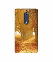 Amazon Brand - Solimo Designer Autumn Scene 3D Printed Hard Back Case Mobile Cover for Nokia 5