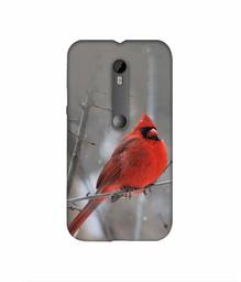 Amazon Brand - Solimo Designer Red Engry Bird 3D Printed Hard Back Case Mobile Cover for Motorola Moto G 3rd Generation