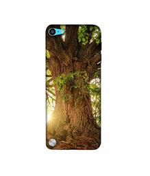 Amazon Brand - Solimo Designer Tree Trunk 3D Printed Hard Back Case Mobile Cover for Apple iPod Touch 5th Generation