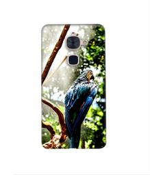 Amazon Brand - Solimo Designer Macaw Parrot 3D Printed Hard Back Case Mobile Cover for LeTV Le 2