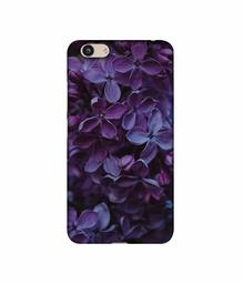 Amazon Brand - Solimo Designer Purple Flowers 3D Printed Hard Back Case Mobile Cover for Vivo Y53