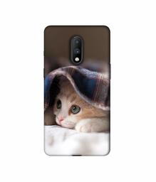 Amazon Brand - Solimo Designer Sleepy Kitten 3D Printed Hard Back Case Mobile Cover for OnePlus 7