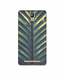 Amazon Brand - Solimo Designer Leaf Texture 3D Printed Hard Back Case Mobile Cover for Gionee Marathon M5 Plus