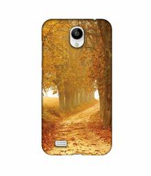 Amazon Brand - Solimo Designer Autumn Scene 3D Printed Hard Back Case Mobile Cover for Vivo Y21L