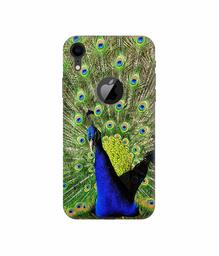 Amazon Brand - Solimo Designer Peacock 3D Printed Hard Back Case Mobile Cover for Apple iPhone XR (Logo Cut)