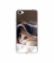 Amazon Brand - Solimo Designer Sleepy Kitten UV Printed Soft Back Case Mobile Cover for Vivo Y55