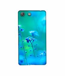 Amazon Brand - Solimo Designer Blue Flower 3D Printed Hard Back Case Mobile Cover for Sony Xperia M5 Dual