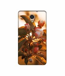 Amazon Brand - Solimo Designer Flowers 3D Printed Hard Back Case Mobile Cover for Lenovo P2