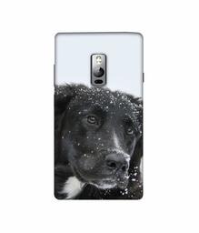 Amazon Brand - Solimo Designer Labrador Dog 3D Printed Hard Back Case Mobile Cover for OnePlus 2