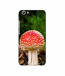 Amazon Brand - Solimo Designer Red Mushroom 3D Printed Hard Back Case Mobile Cover for Vivo Y69