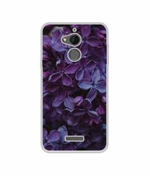 Amazon Brand - Solimo Designer Purple Flowers UV Printed Soft Back Case Mobile Cover for Coolpad Note 5