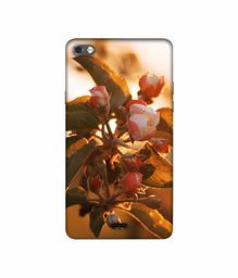 Amazon Brand - Solimo Designer Flowers 3D Printed Hard Back Case Mobile Cover for Micromax Canvas Sliver 5 Q450