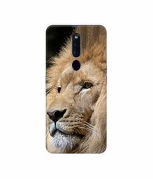 Amazon Brand - Solimo Designer Lion 3D Printed Hard Back Case Mobile Cover for Oppo F11 Pro