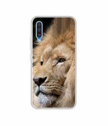 Amazon Brand - Solimo Designer Lion UV Printed Soft Back Case Mobile Cover for Samsung Galaxy A50