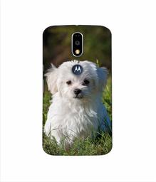 Amazon Brand - Solimo Designer White Dog 3D Printed Hard Back Case Mobile Cover for Motorola Moto G4 Plus (with Logo Cut)