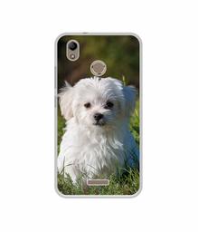 Amazon Brand - Solimo Designer White Dog UV Printed Soft Back Case Mobile Cover for Infocus Turbo 5